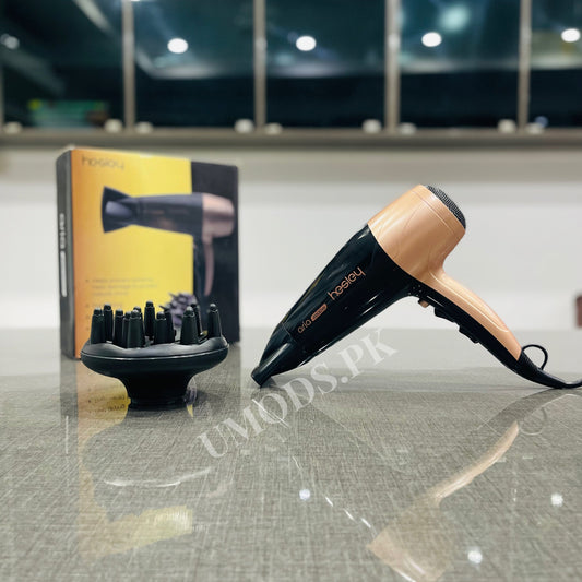 Hesley Aria Professional Hair Dryer