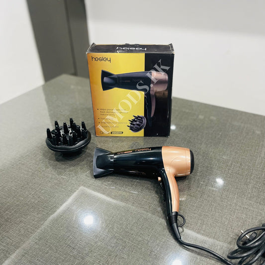 Hesley Aria Professional Hair Dryer